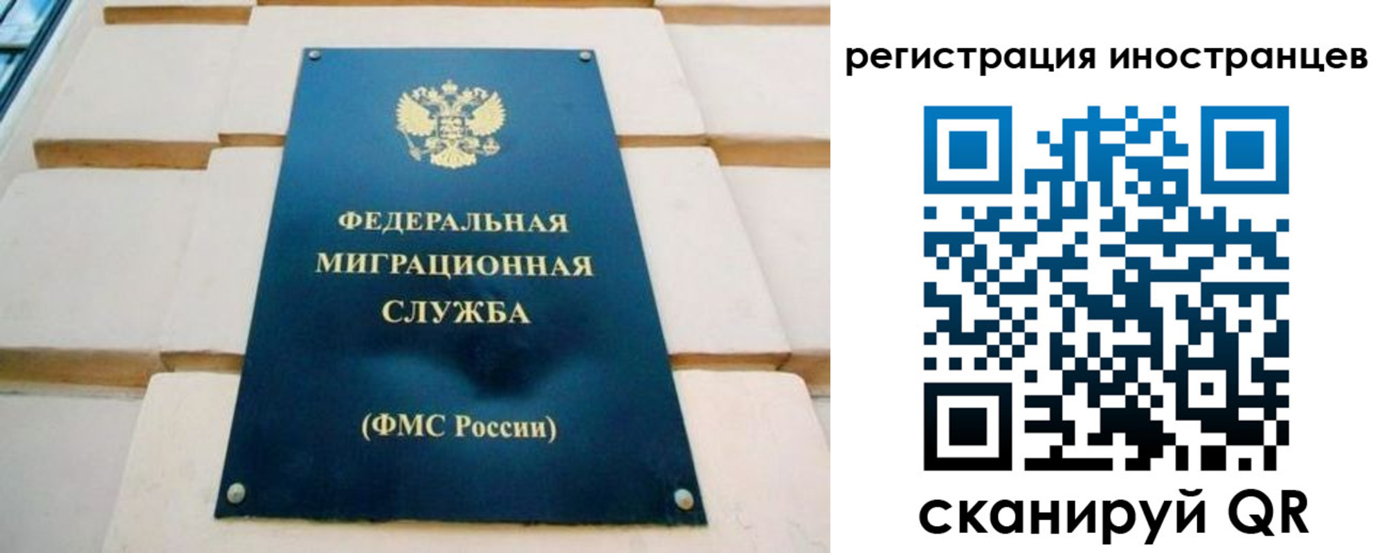 форма 3 в Сольцах